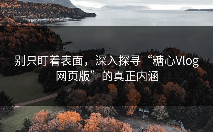 别只盯着表面，深入探寻“糖心Vlog网页版”的真正内涵